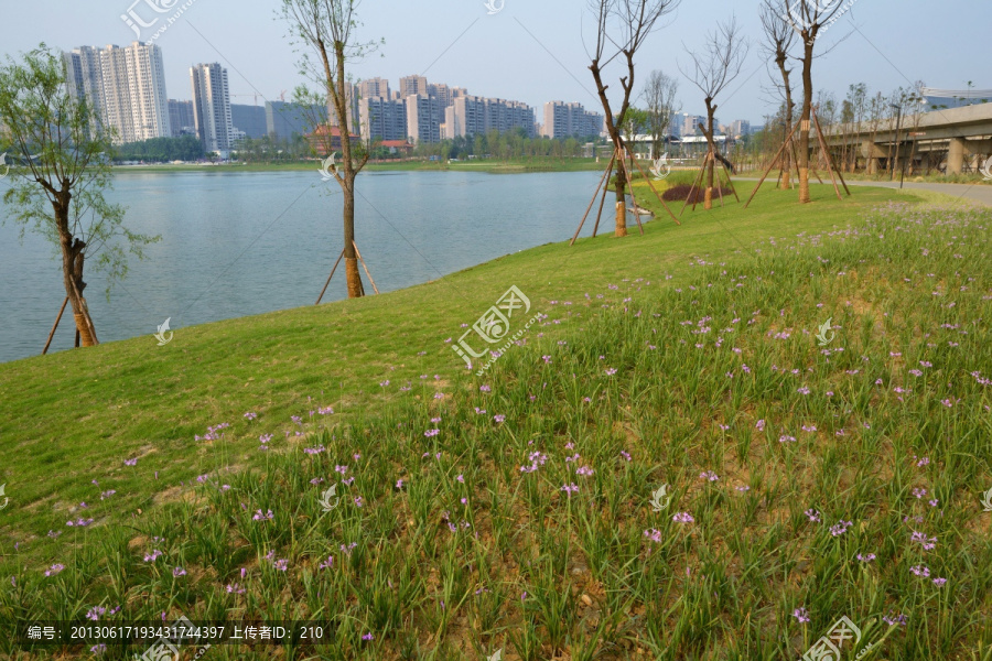 成都锦城湖