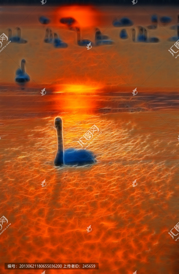 夢幻天鵝湖