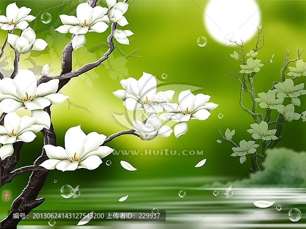 唯美背景墻寫真,,玉蘭