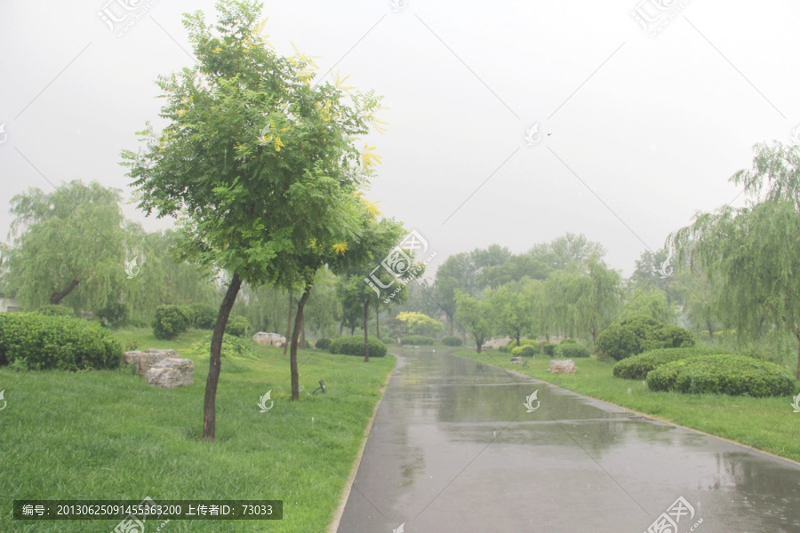 雨天北宁公园道路绿地