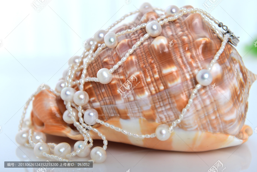 珍珠项链,海螺,大小珍珠,串珠