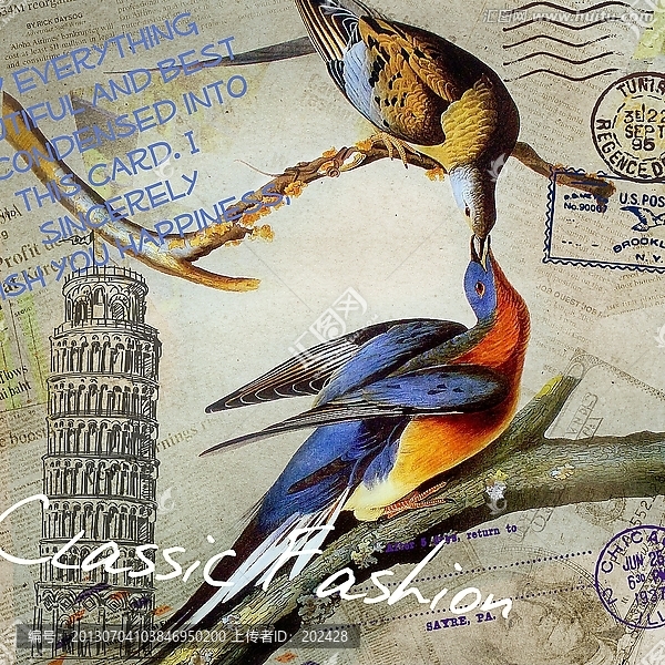 經(jīng)典手繪小鳥,無框畫,裝飾畫
