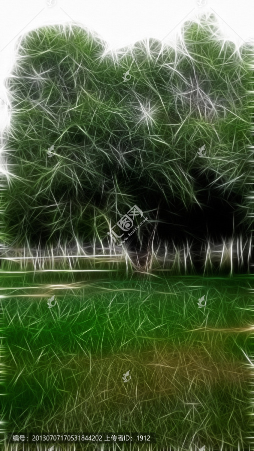 綠樹林