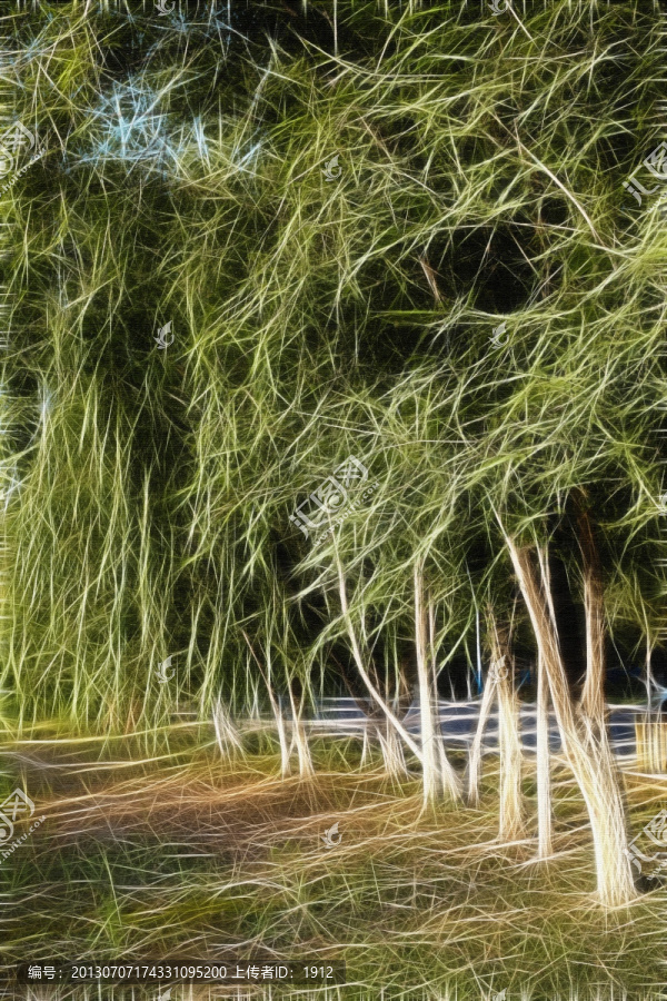 樹林