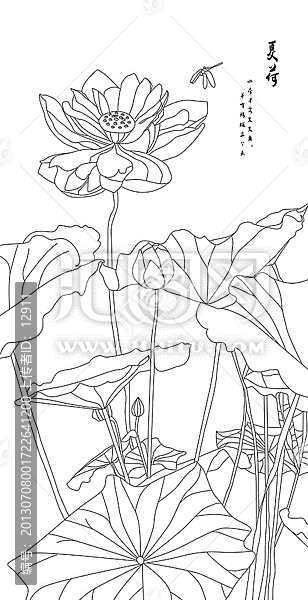 線描荷花,矢量荷花,移門圖案