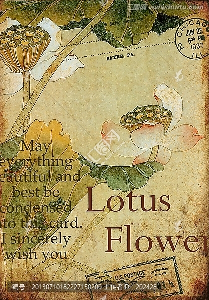 手繪花卉,荷花,懷舊無框畫