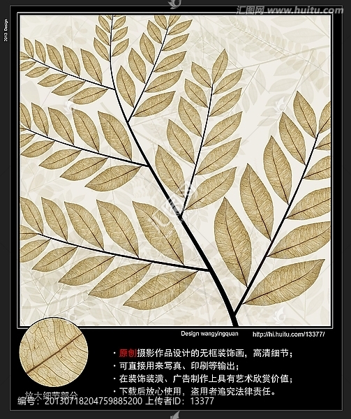 葉脈枝葉,高清圖