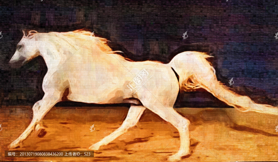 白馬