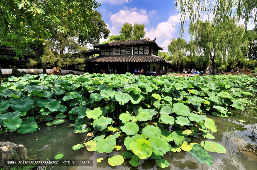 蘇州拙政園夏景
