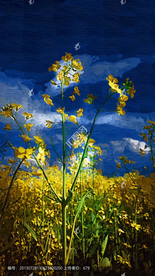 裝飾畫,無框畫油菜花