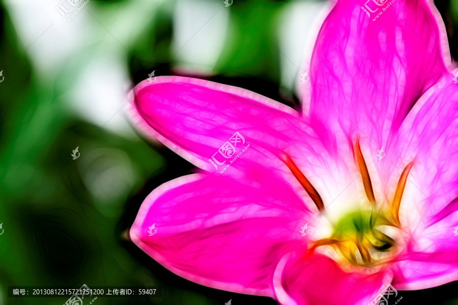 花,抽象畫,裝飾畫