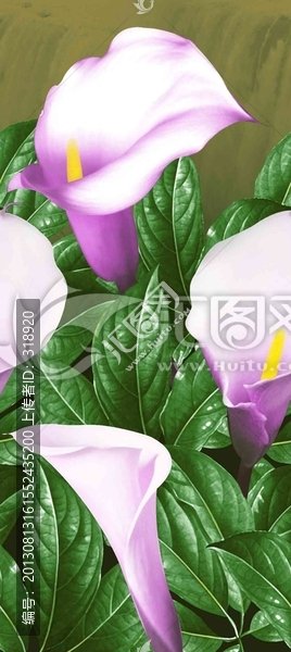 印花,花型,數(shù)碼印花,面料,家