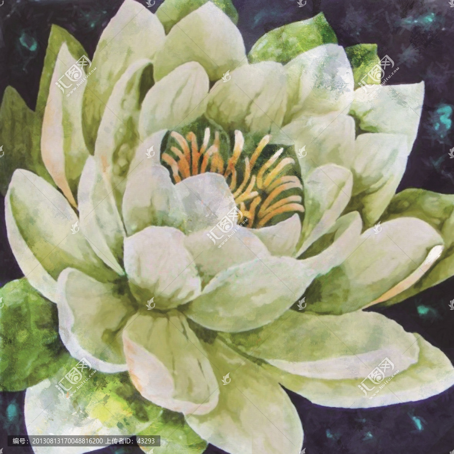 蓮花,荷花,無框畫,裝飾畫