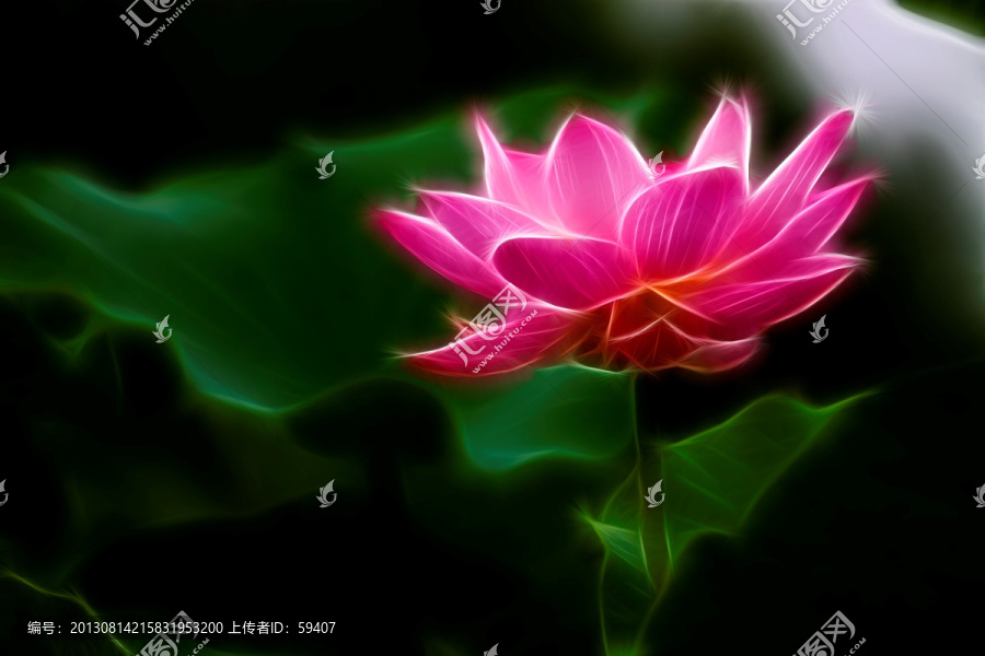 荷花,無框畫