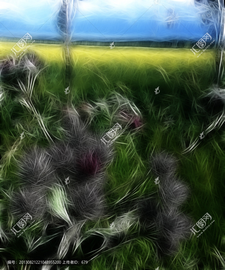野花