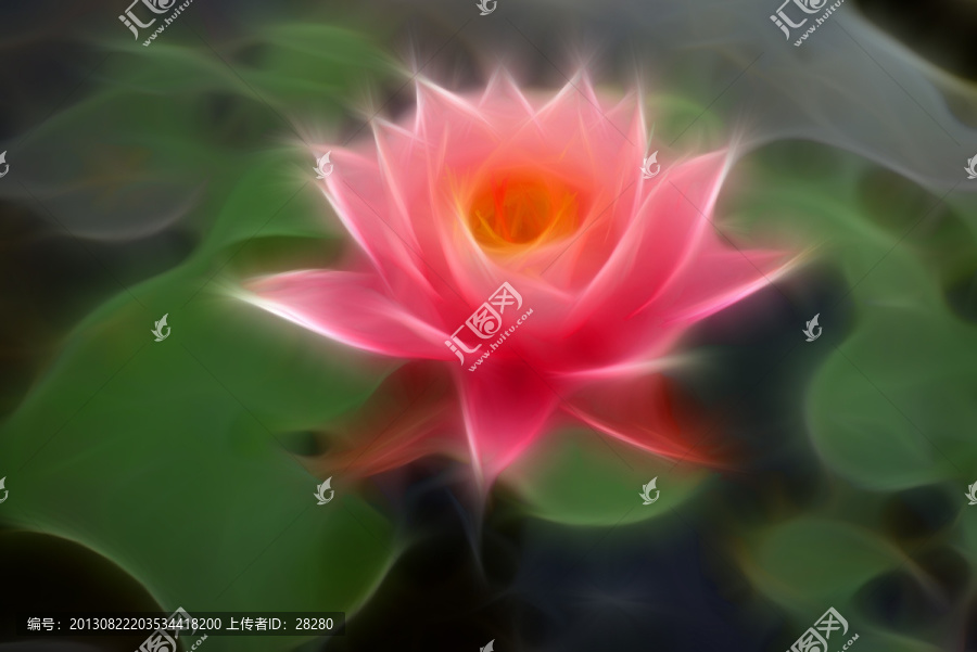 抽象畫,荷花
