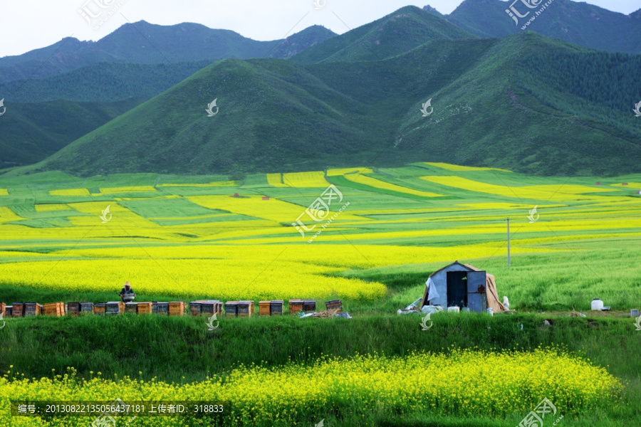 田野风光（高像素）