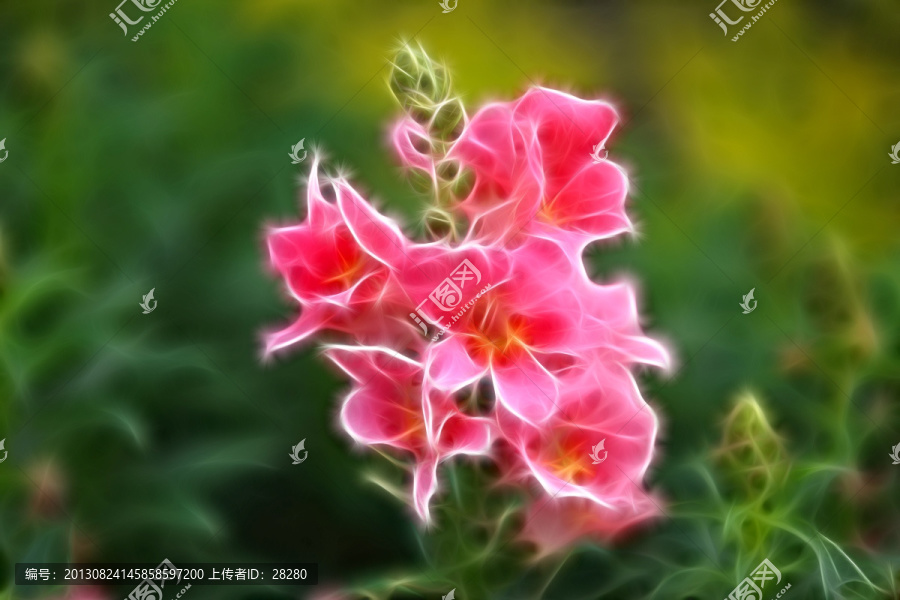 抽象畫,花