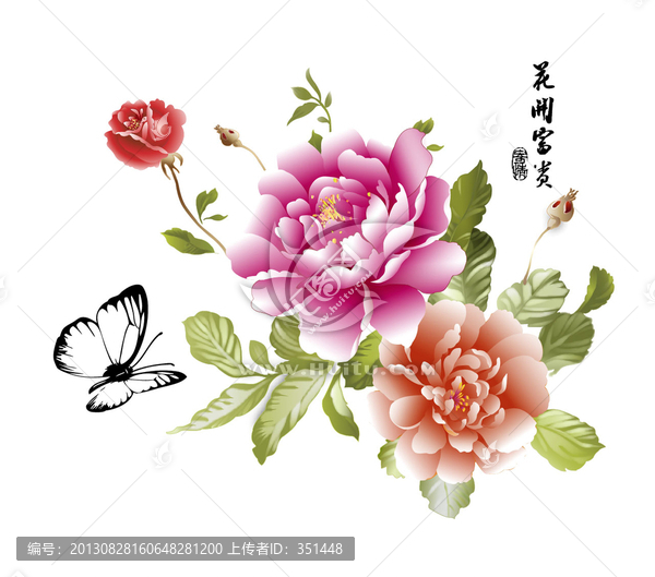 蝴蝶花開