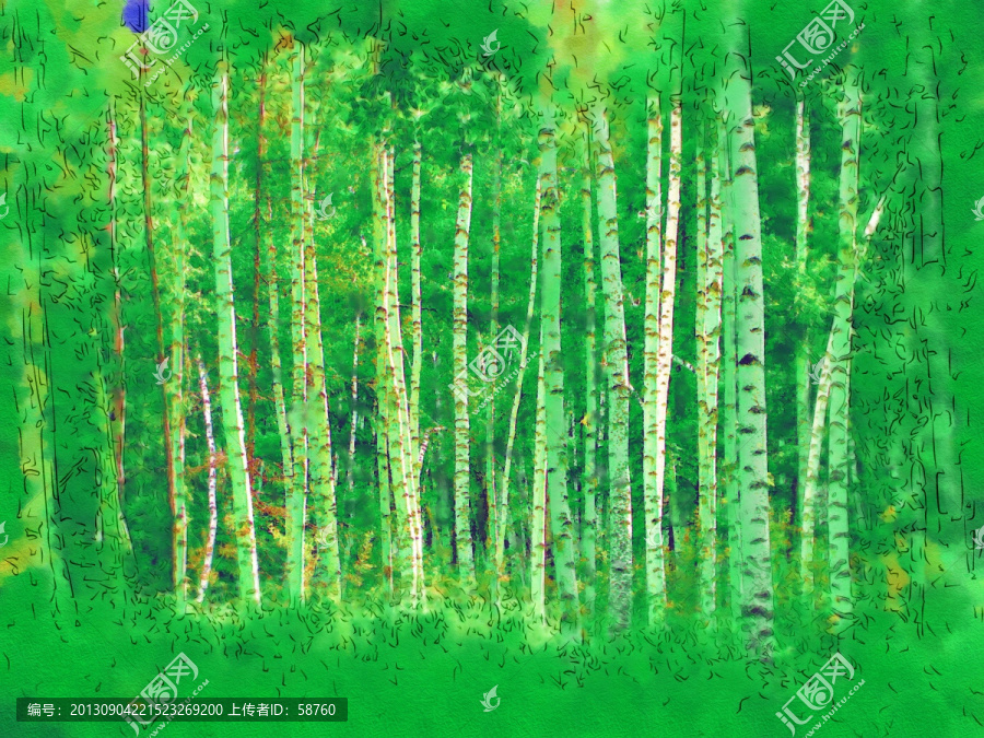 白桦林之夏,电脑画