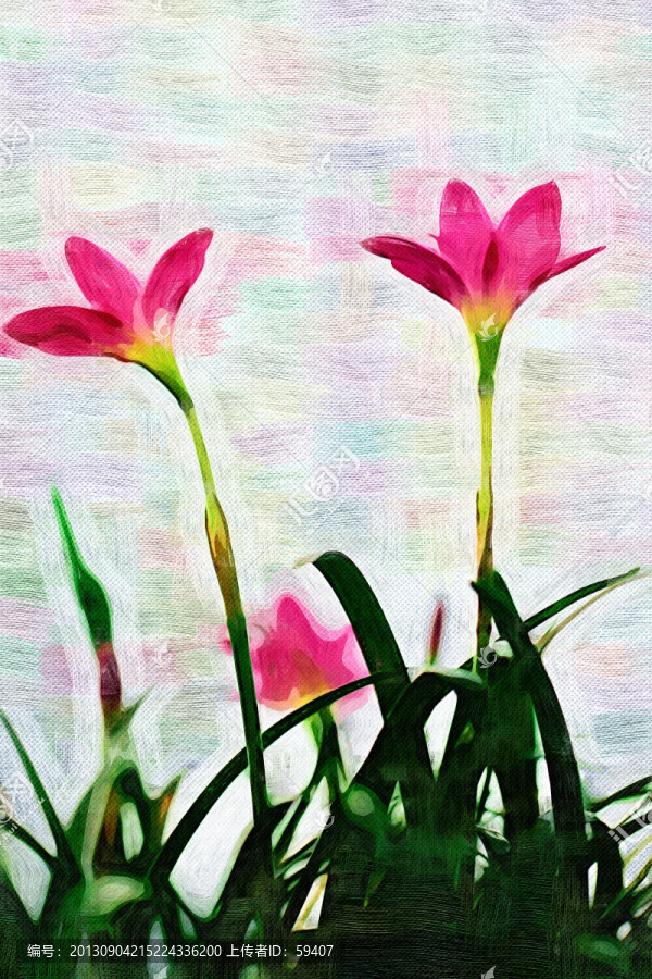 裝飾畫,無框畫,花卉,油畫