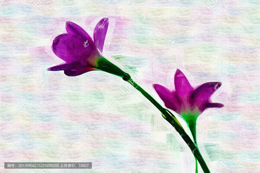 裝飾畫,無框畫,花卉,油畫
