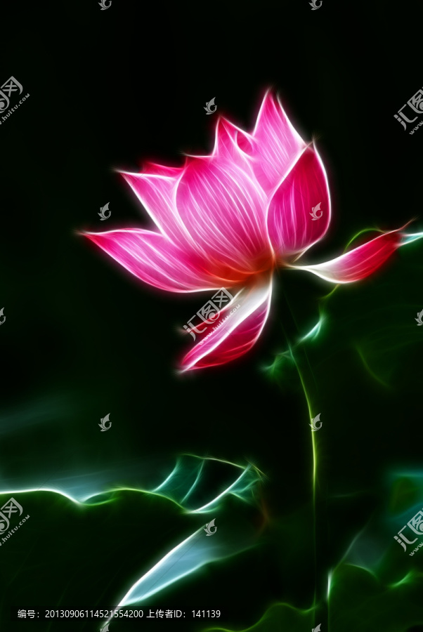 荷花,抽象畫,無框畫,裝飾畫