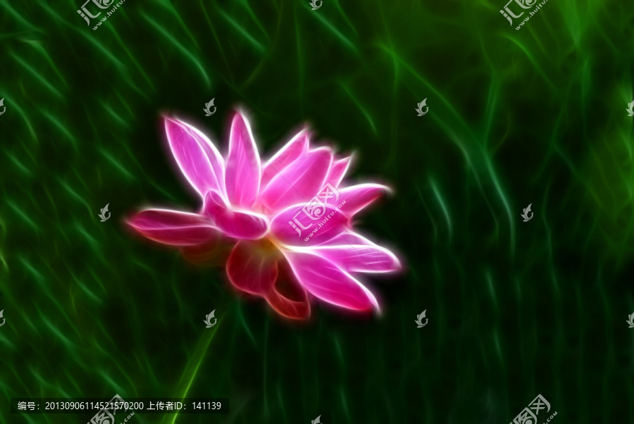 荷花,抽象畫,無框畫,裝飾畫