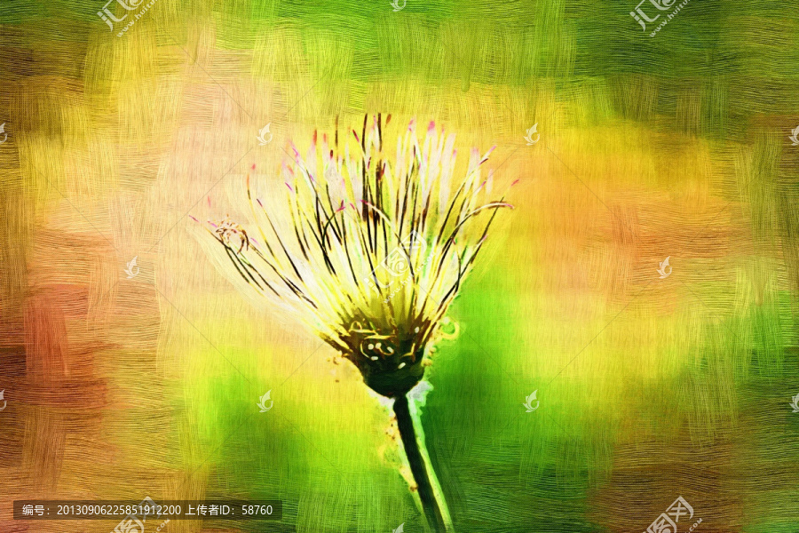 花蕾,電腦油畫