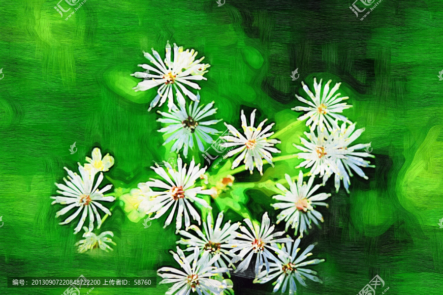 花之韻,電腦油畫
