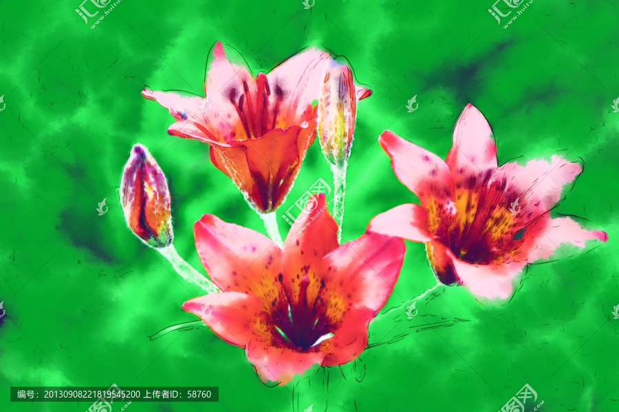 百合花,電腦水彩畫