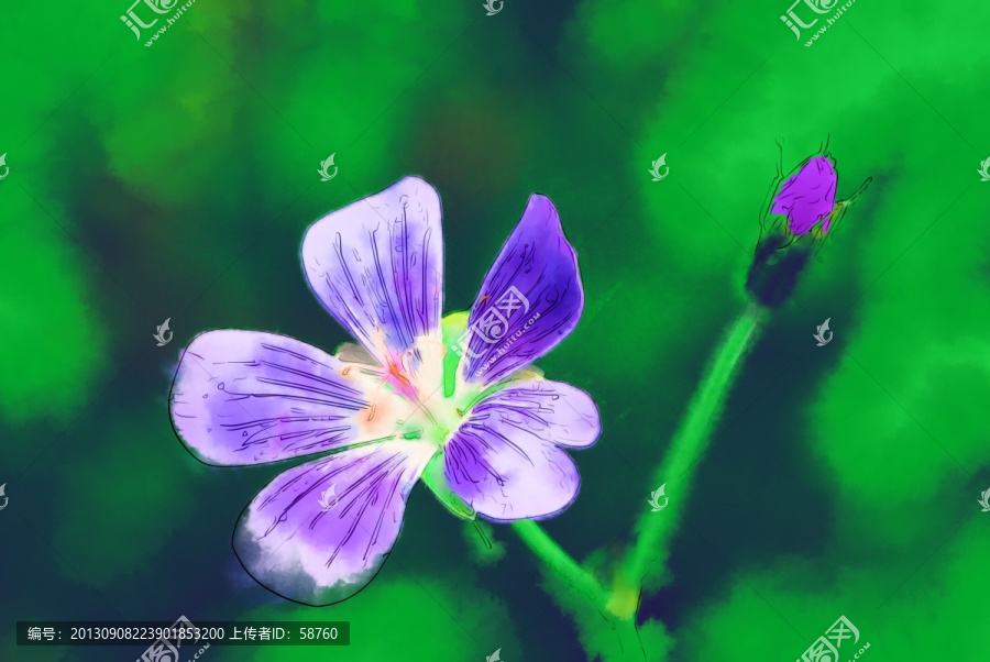 老鸛草,電腦水彩畫