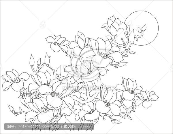 單線玉蘭花
