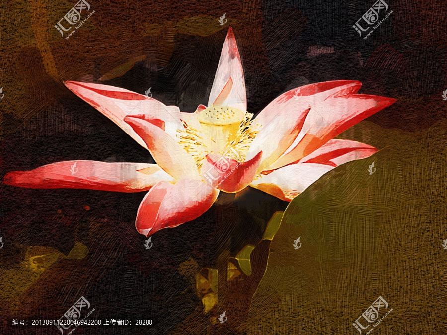 油畫(huà),艷若荷花