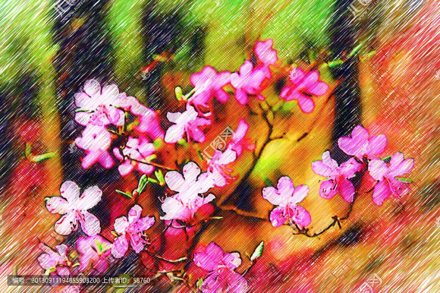 花之春韻圖,電腦畫