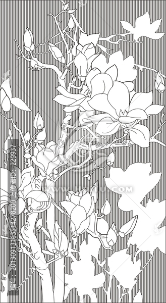 玉蘭花
