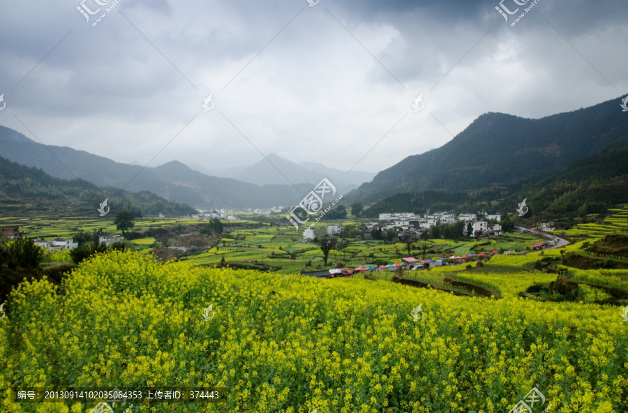 婺源油菜花