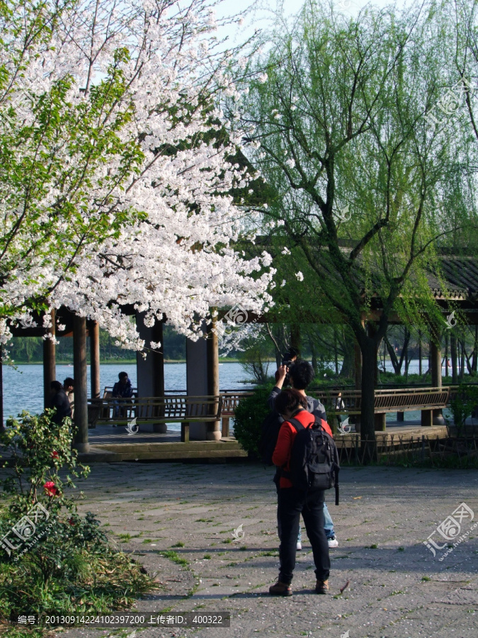 西湖,杨公堤,春季,夕阳,庭院