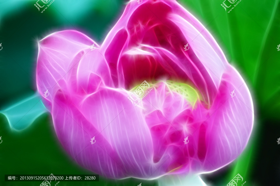 抽象畫,荷花