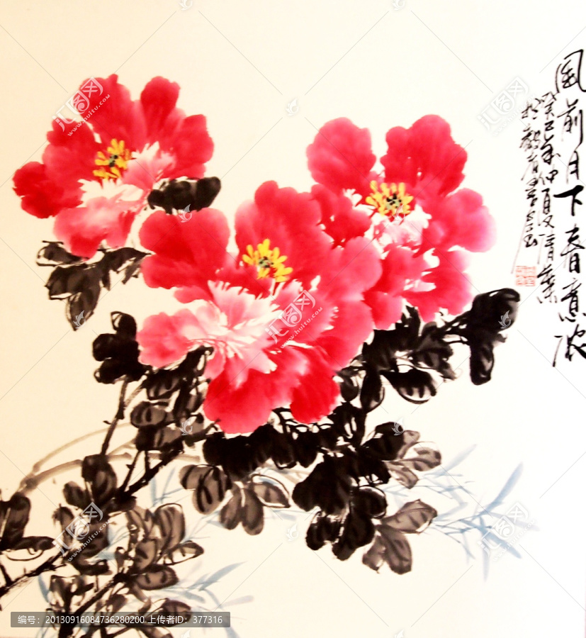 牡丹花