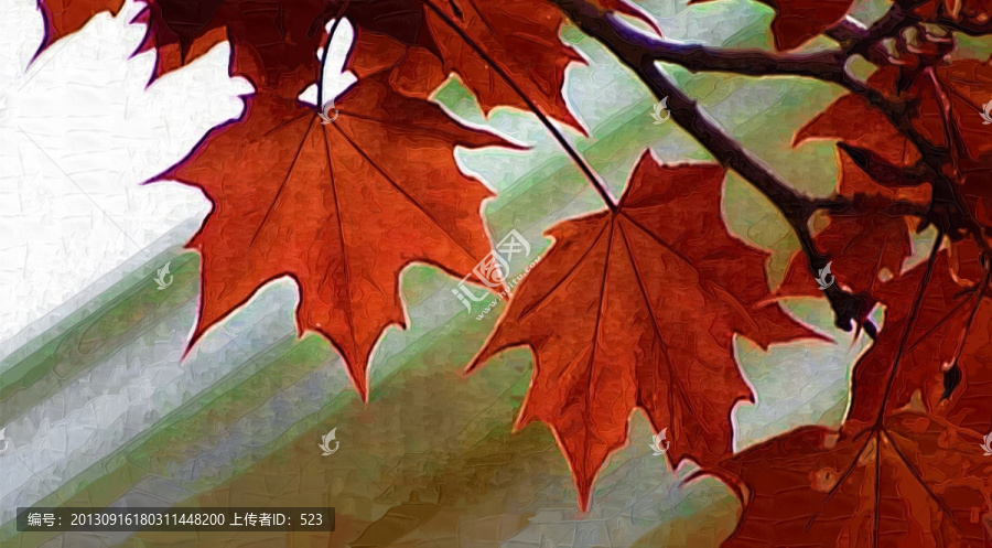 楓葉