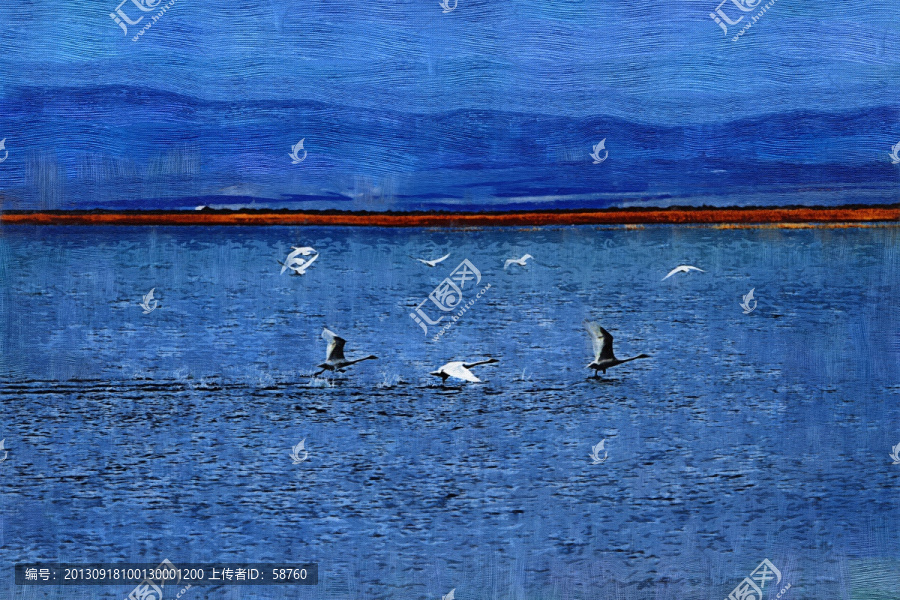 藍(lán)調(diào)天鵝湖,電腦油畫