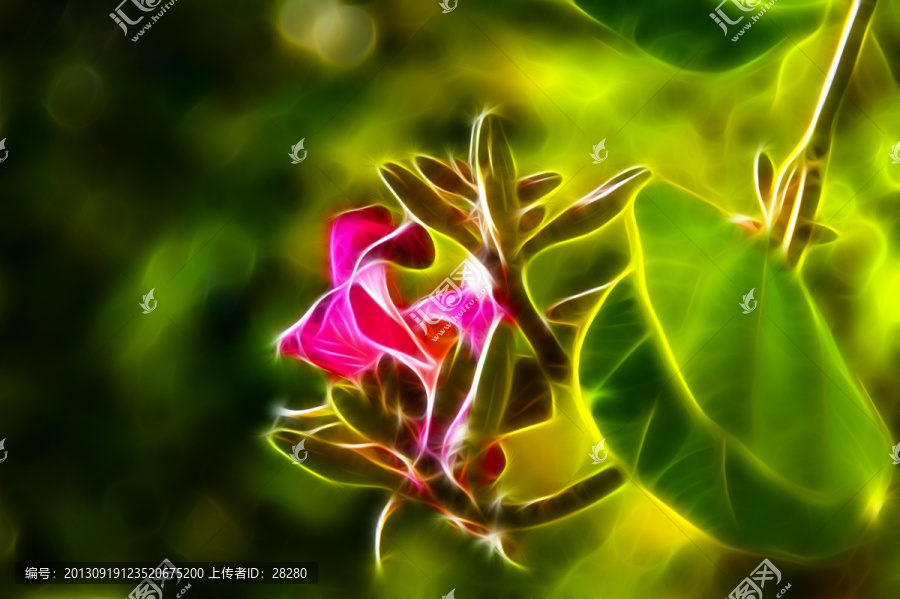 抽象畫,花朵