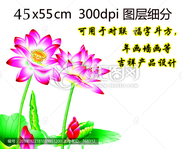 荷花
