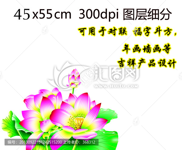 荷花