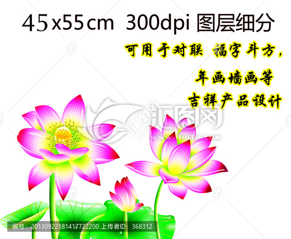 荷花