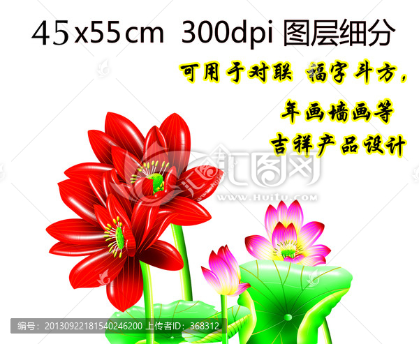 荷花
