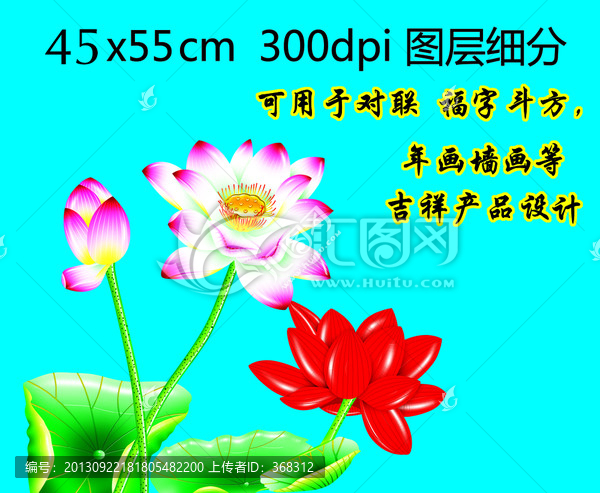 荷花