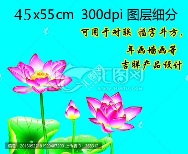 荷花