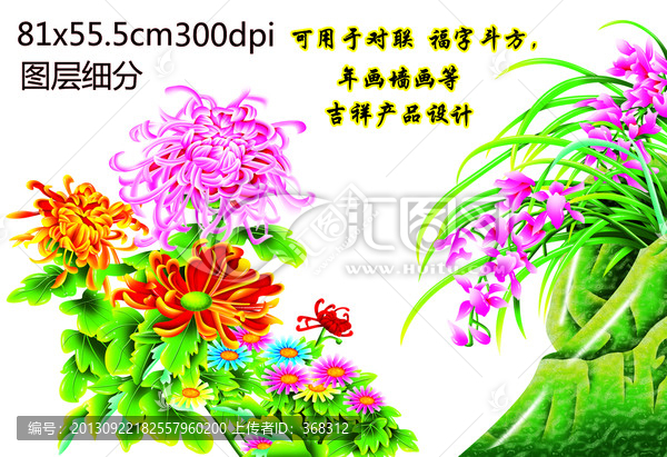 蘭花菊花